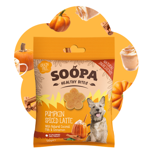 Pumpkin Spiced Latte Healthy Bites