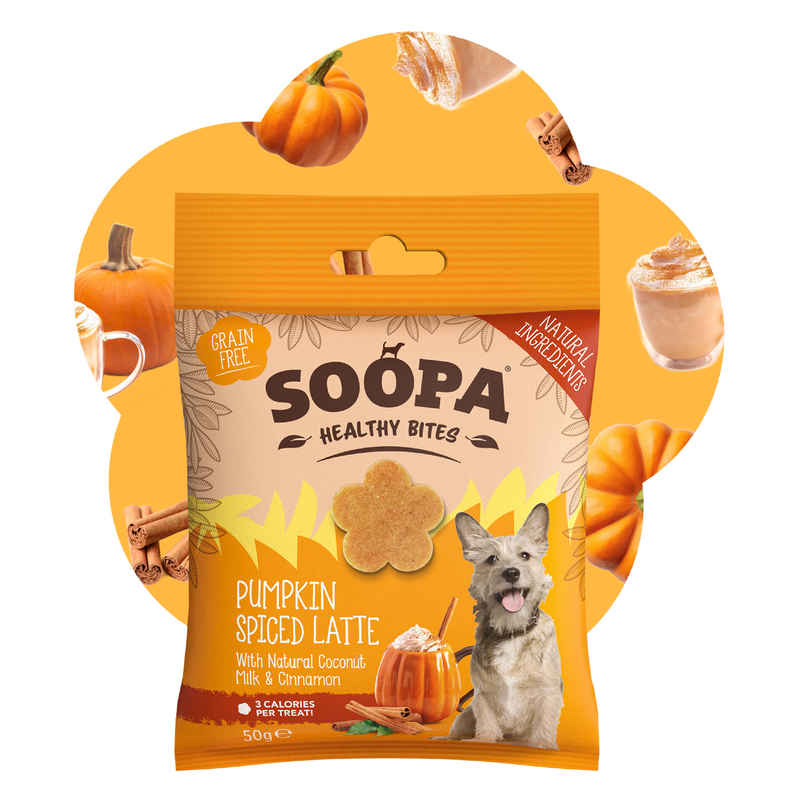 Pumpkin Spiced Latte Healthy Bites