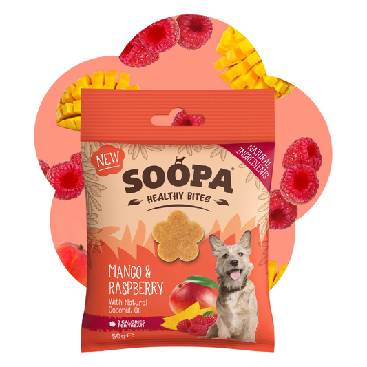 Mango & Raspberry Healthy Bites