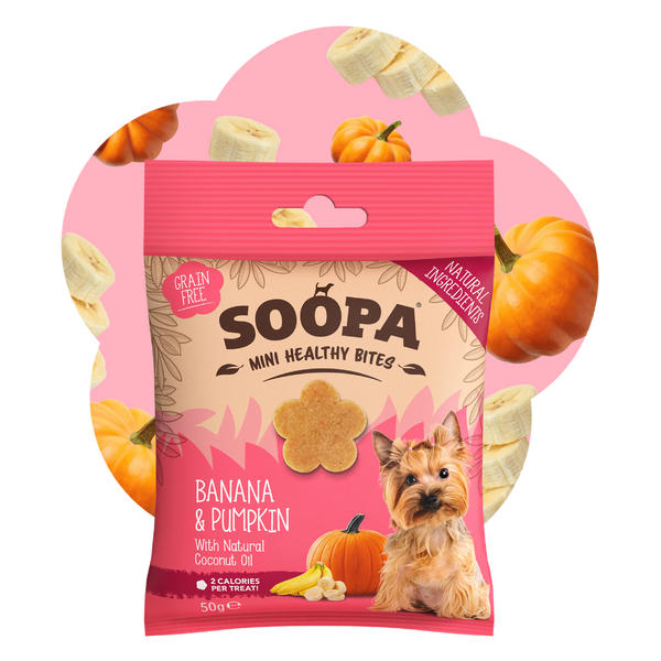 Banana & Pumpkin Healthy Bites for Mini Dogs