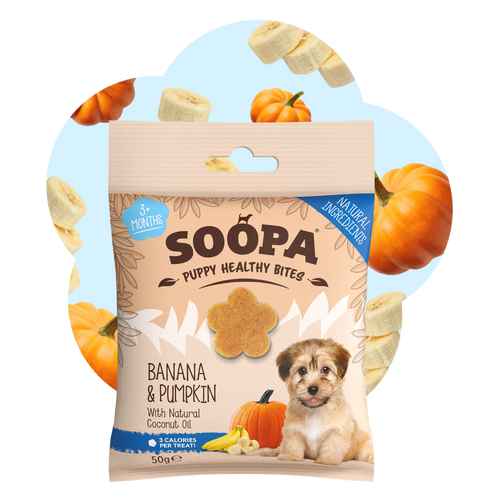 Banana & Pumpkin Healthy Training Bites for Puppies
