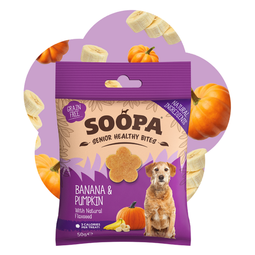 Banana, Pumpkin & Flaxseed Healthy Bites for Senior Dogs