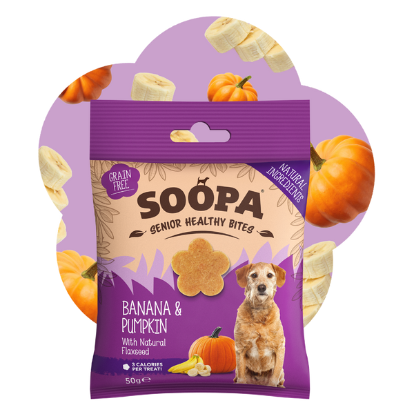 Banana, Pumpkin & Flaxseed Healthy Bites for Senior Dogs