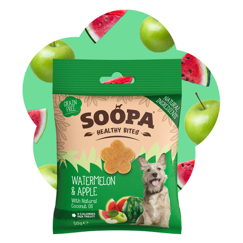 Watermelon & Apple Healthy Bites