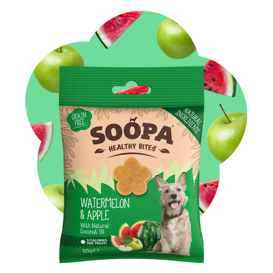 Watermelon & Apple Healthy Bites