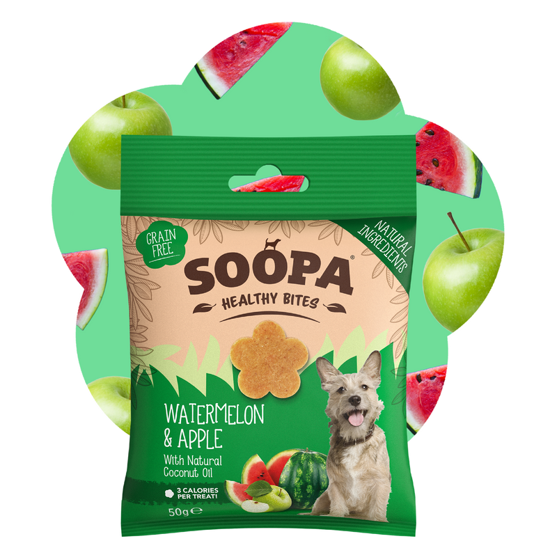 Watermelon & Apple Healthy Bites