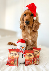 Gingerbread Biscuit Dental Sticks