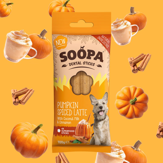 Pumpkin Spiced Dog Treats