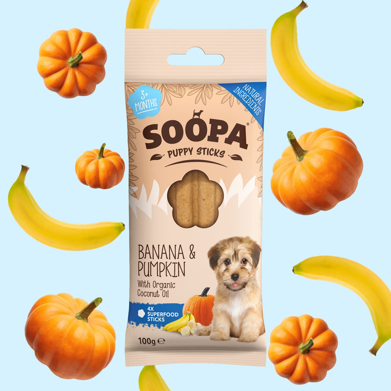 Banana & Pumpkin Dental Sticks for Puppies