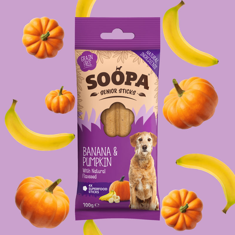 Banana, Pumpkin & Flaxseed Dental Sticks for Senior Dogs