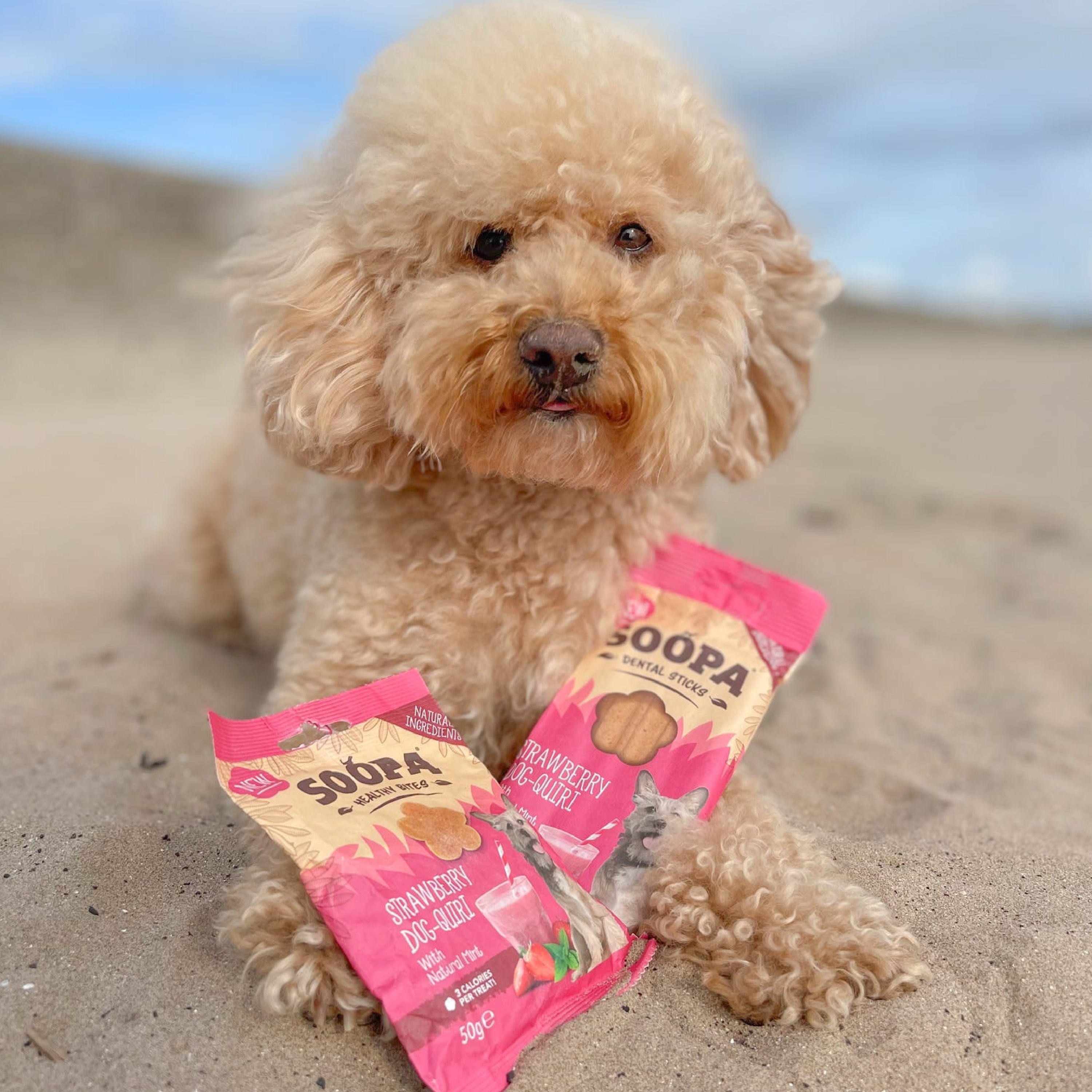 Strawberry Dog-Quiri Healthy Bites | Soopa – Soopa Pets