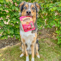 Strawberry Dog-Quiri Healthy Bites