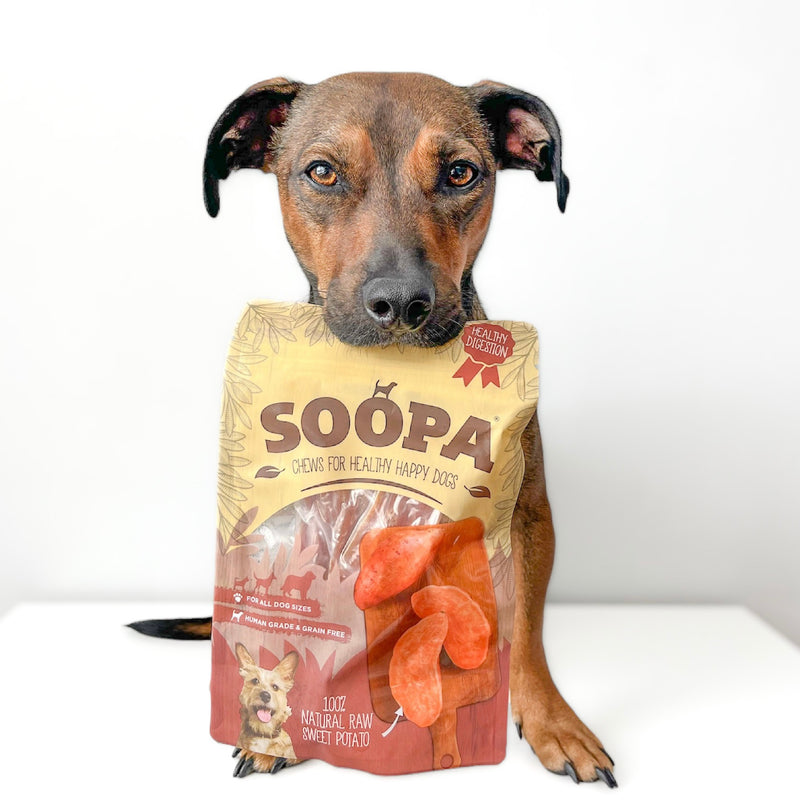 Canine Diet Sweet Potato Raw For Dogs Nutrition What To Do If My