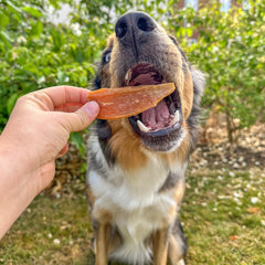 Natural Sweet Potato Chews