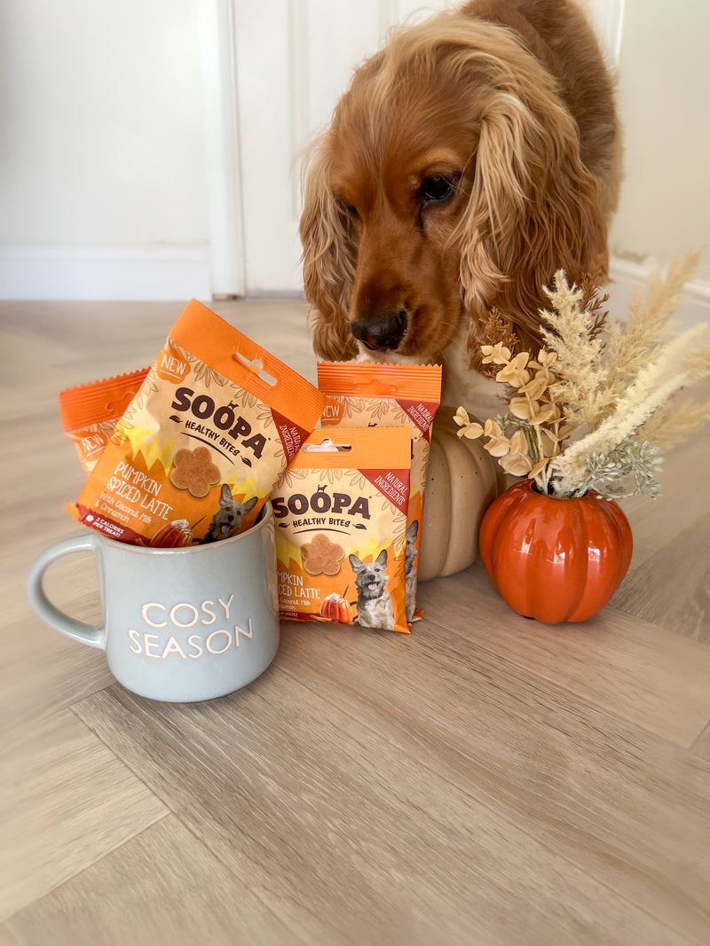 Pumpkin Spiced Latte Healthy Bites