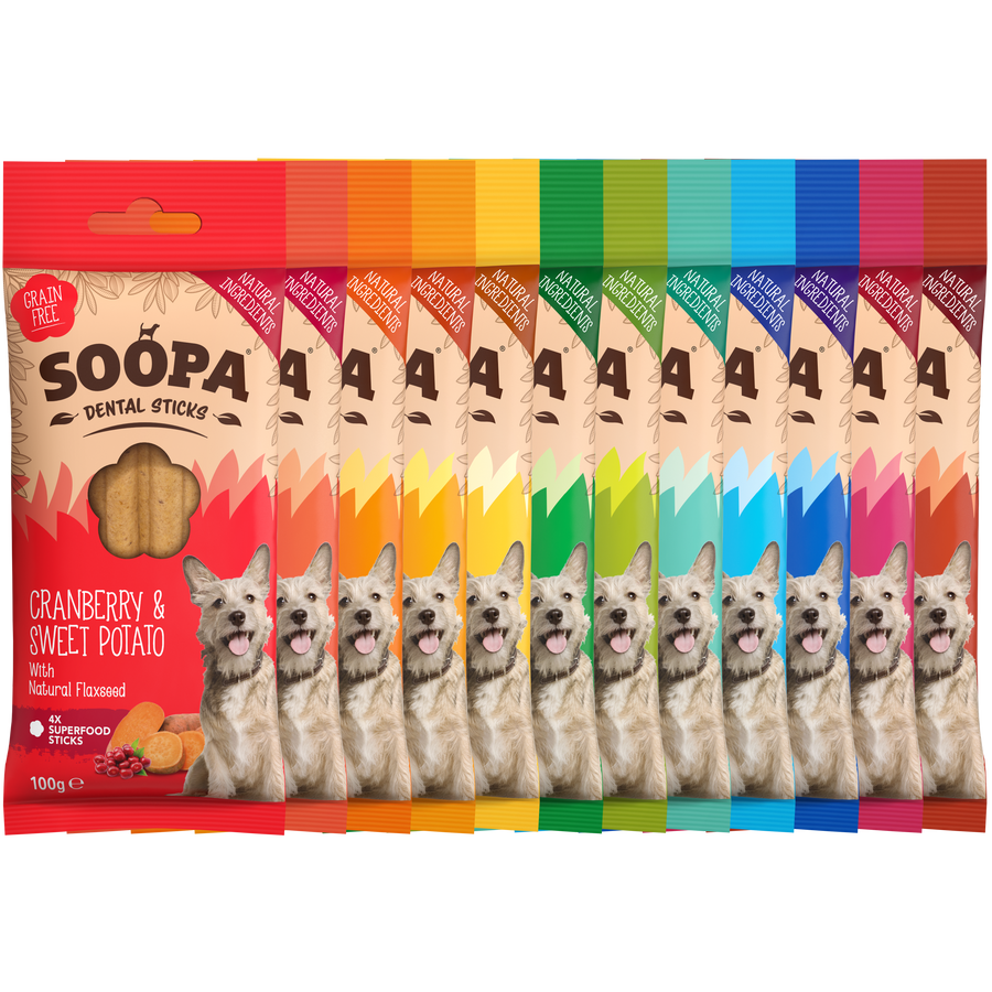 Chomp the Rainbow Bundle