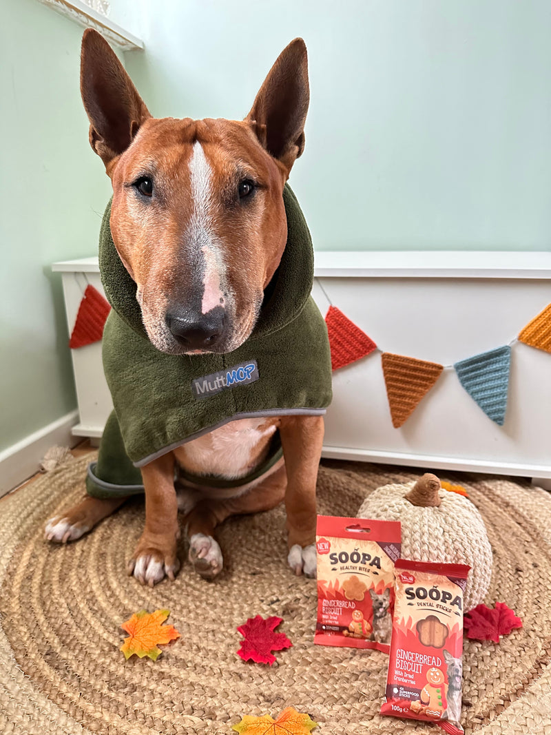 Gingerbread Biscuit Healthy Bites