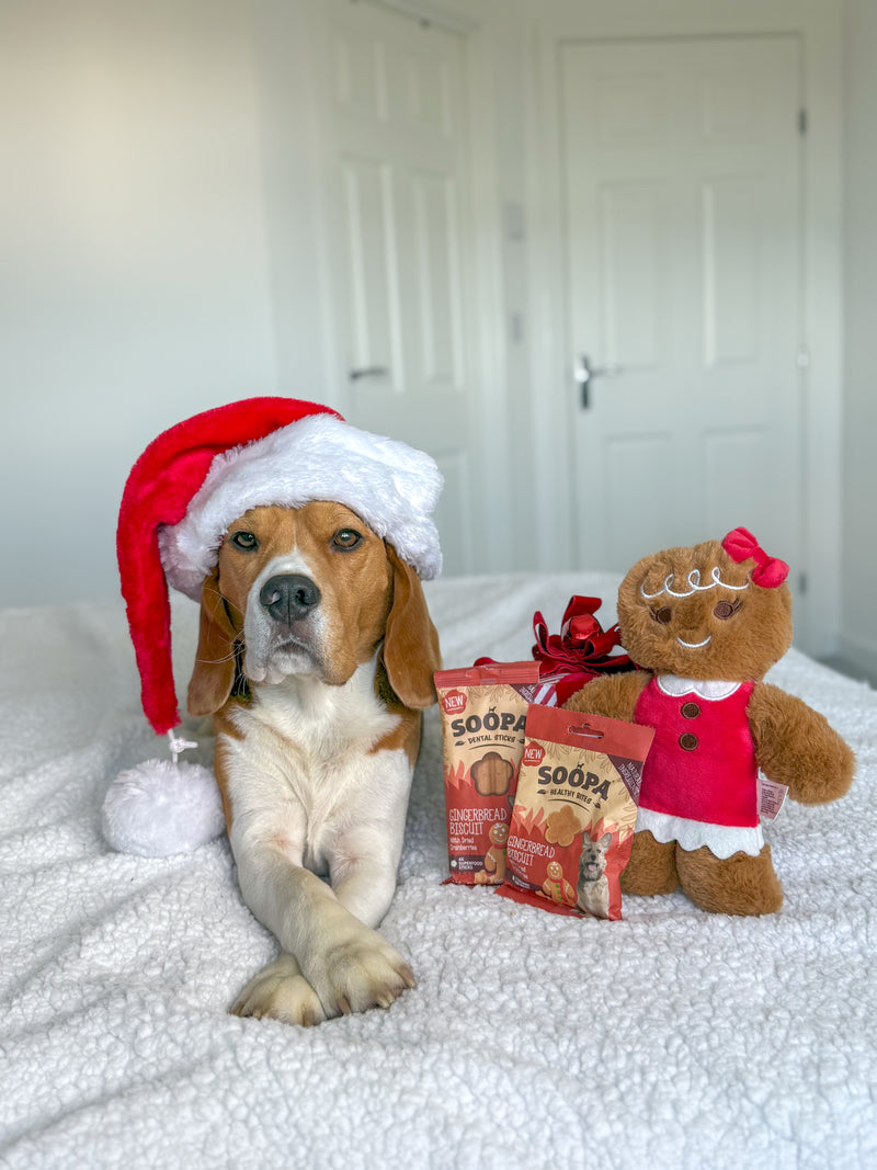 Gingerbread Biscuit Dental Sticks