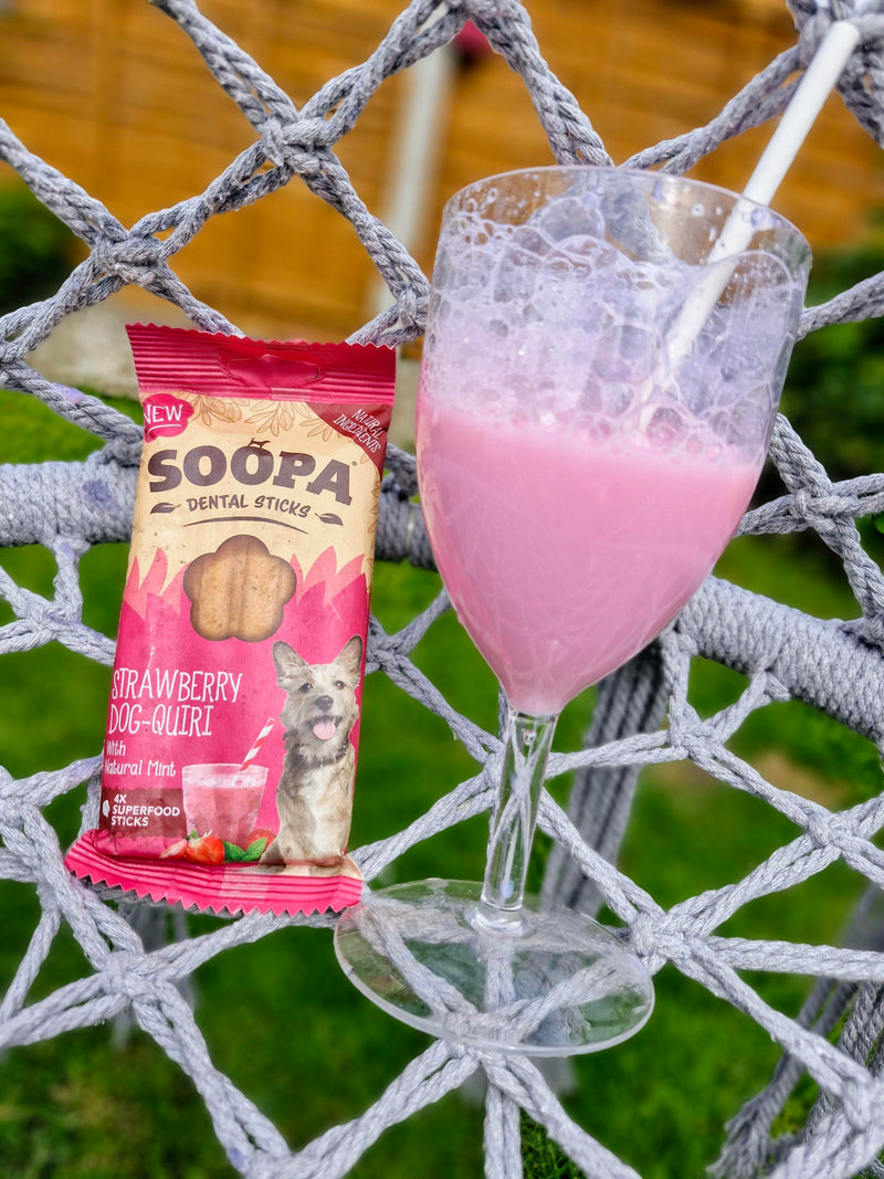 Strawberry Dog-Quiri Healthy Bites