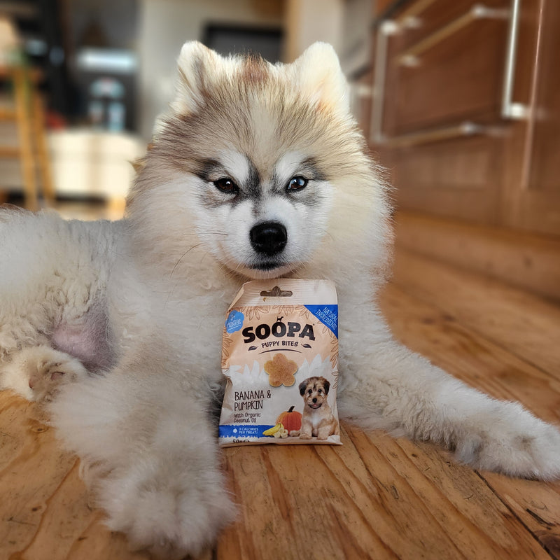 Banana & Pumpkin Healthy Training Bites for Puppies