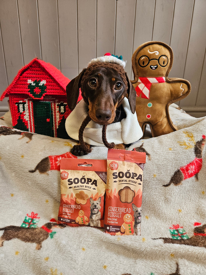 Gingerbread Biscuit Healthy Bites